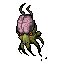 1546008368-Brain_Squid.gif