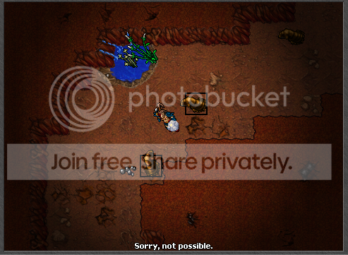 71.png