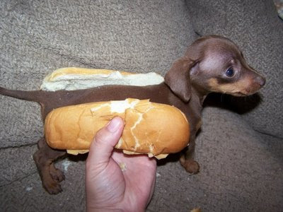 hot+dog%5B1%5D.jpg