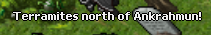 v9fwCAB.png