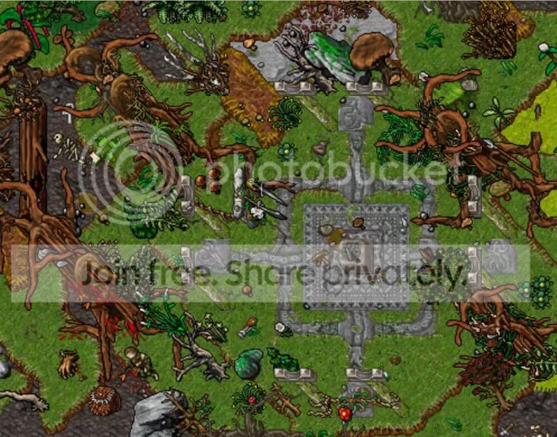 wood.jpg
