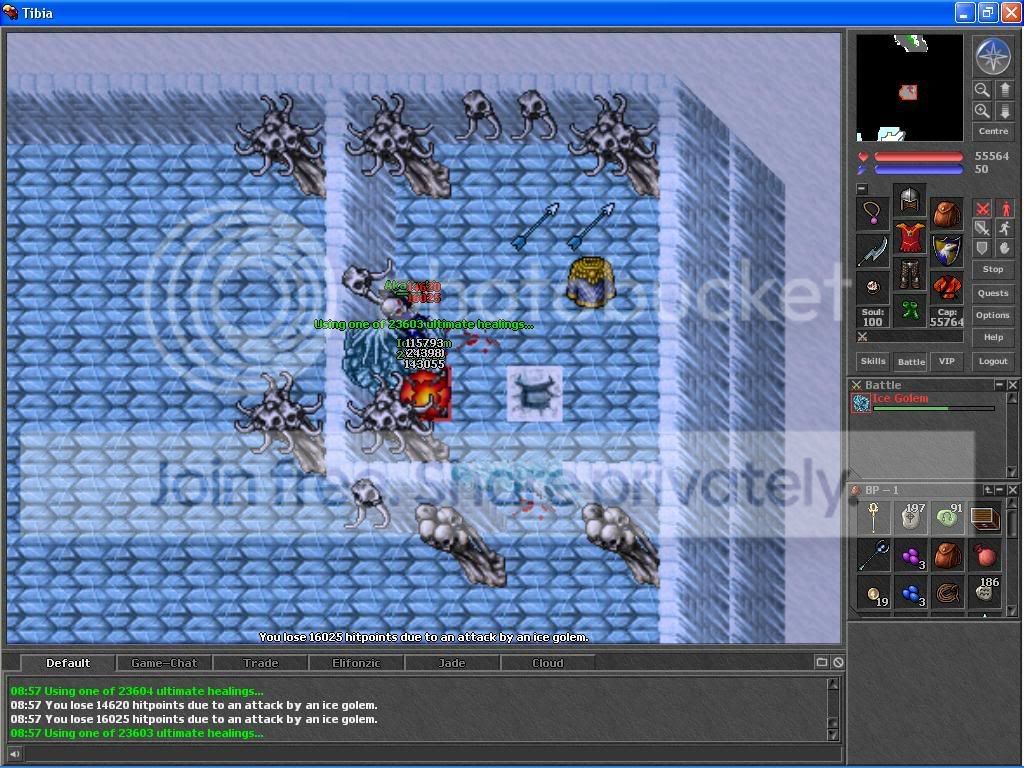 IceGolem1.jpg