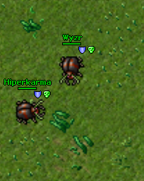 ZrUmd.png
