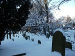 Snowy_past_6_by_unknown666.jpg