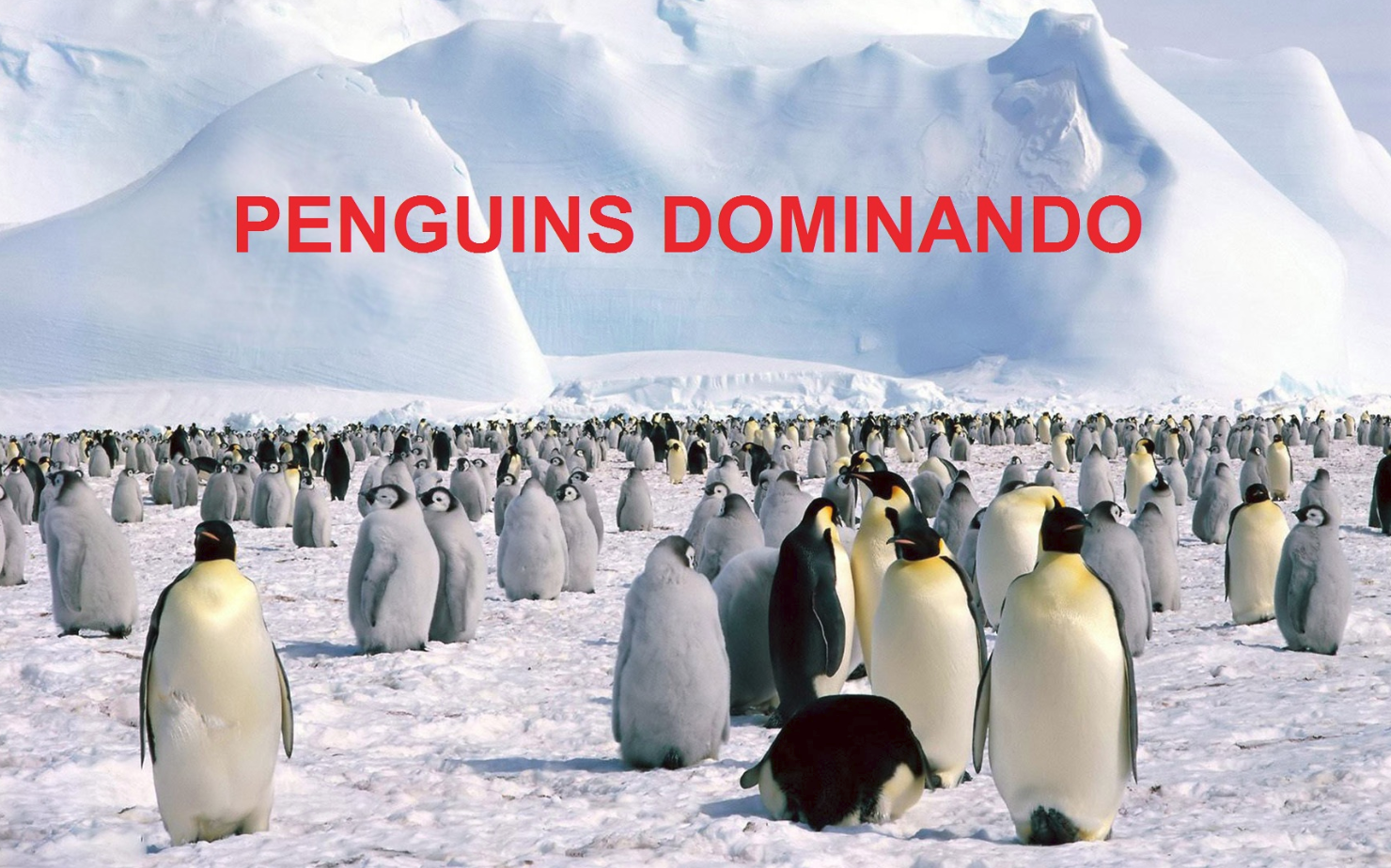 01d00b5fc6e733a11aa4bd6db79fb3e5.png