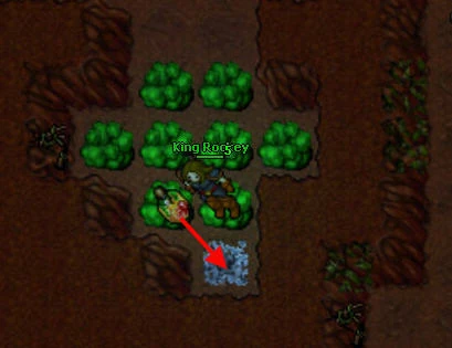 PoisonFields_Dreamer%27sChallenge.jpg