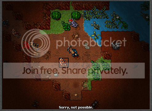 51.png