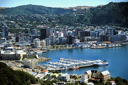 nz0241.jpg