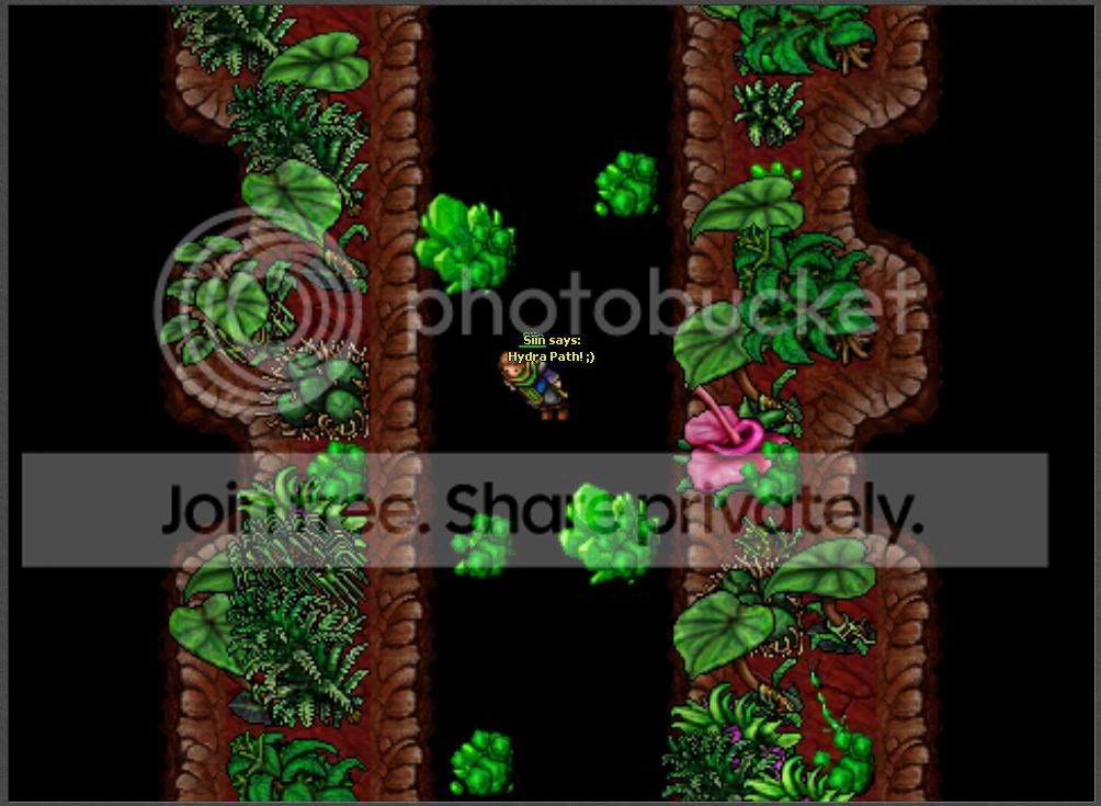 HydraPath.jpg