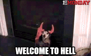 tumblr_n2cun5v09y1toxnu4o1_400.gif