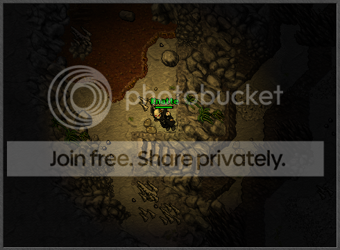 Ingame08.png