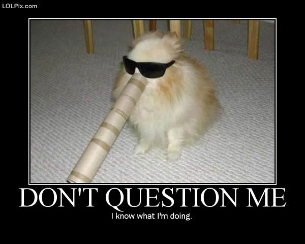 Funny_Pictures_81510.jpg