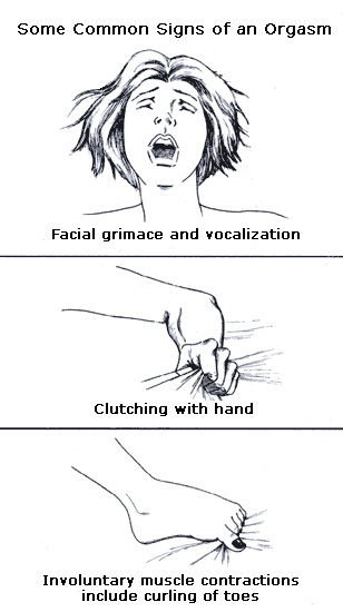 female_orgasm.jpg