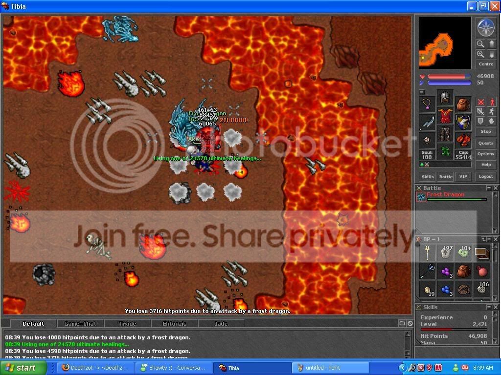 frostdragon1.jpg
