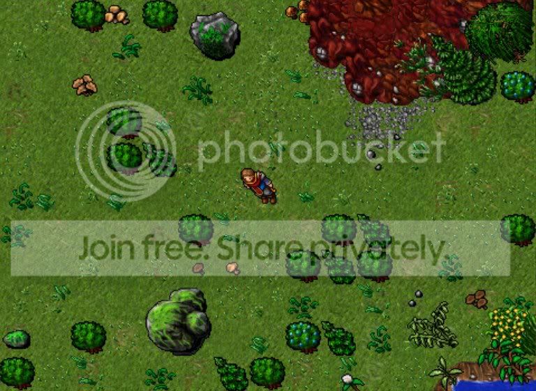 nature14.jpg