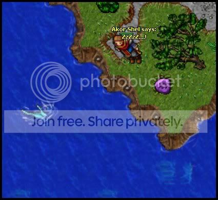 test4.jpg