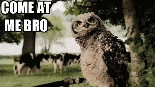 U+mad+.+come+at+me+bro_ab37ab_3182606.gif