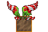 cmas_wings.gif