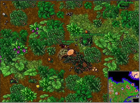 Teaser #2 - Estrondo Assustador na Selva - Notícias - Tibia Fórum