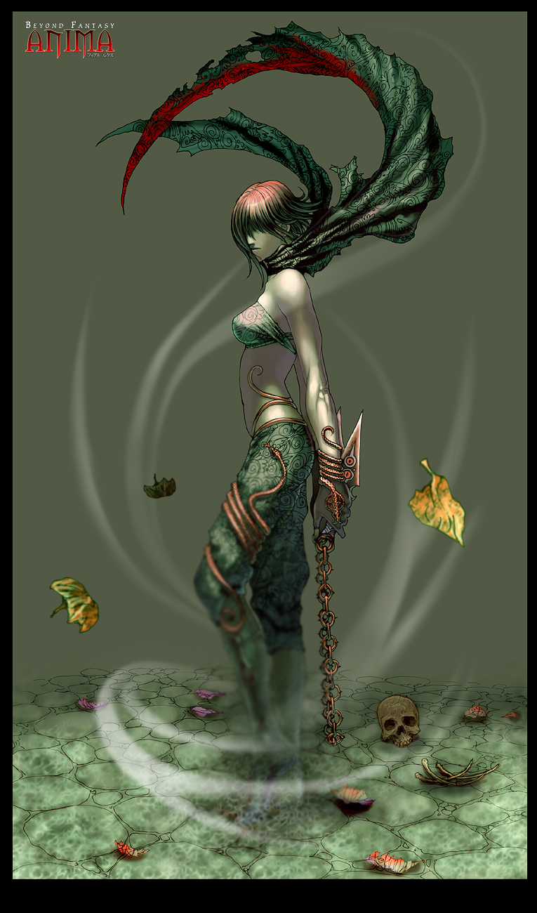 Anima__Assasin_Girl_by_Wen_M.jpg