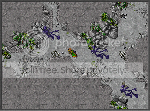 11.png