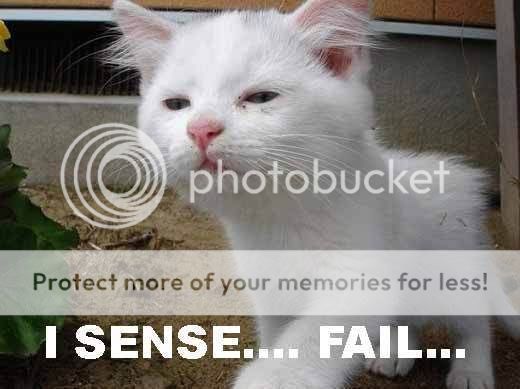 FAIL-cat-I-sense-fail-1.jpg