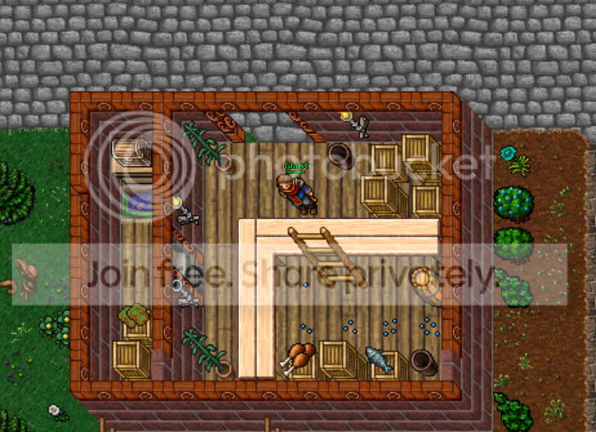 exola2.png