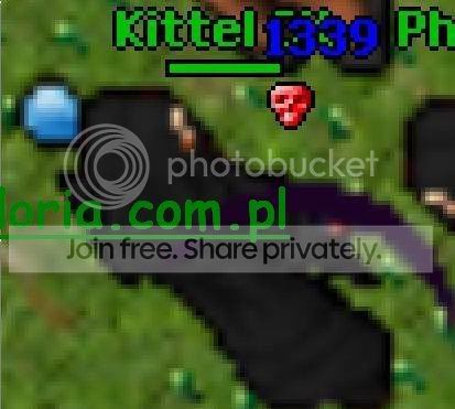 combo1339.jpg