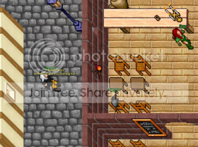 Rat.jpg