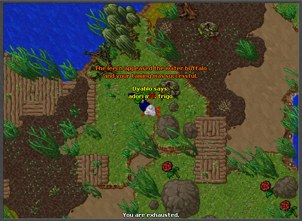 ywSgZvH.png