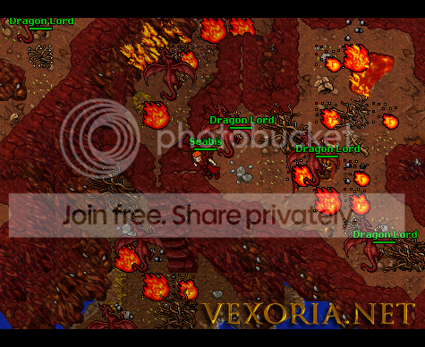zapo-vexo-updaty11.png