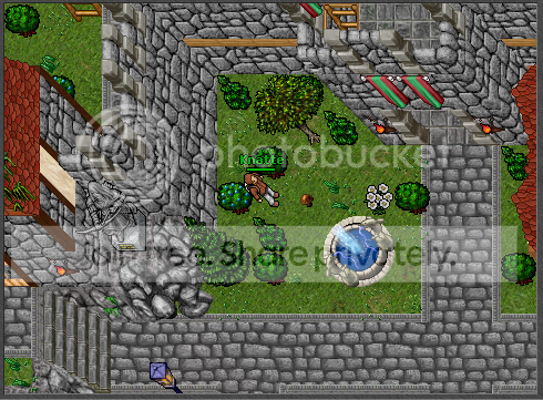 T8.png