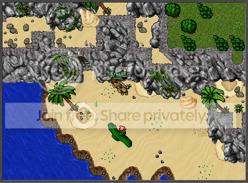 Ingame3.png