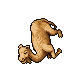 Dromedary.gif