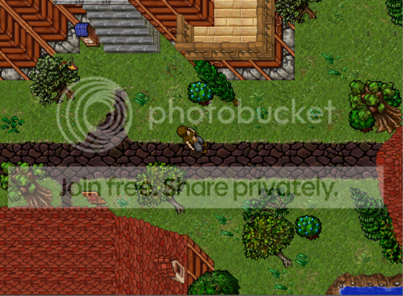 m6.png
