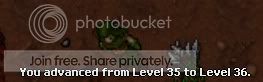 36mage.jpg
