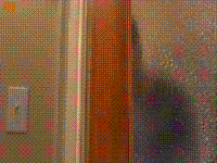 code-29.gif