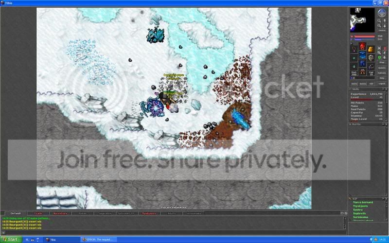 frostsolo.jpg