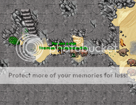 theHC1.png