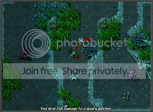 Screen339.png