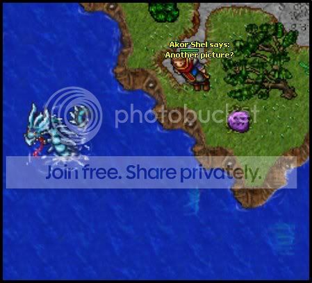 test3.jpg