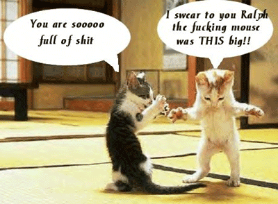 rolig_katt1.gif