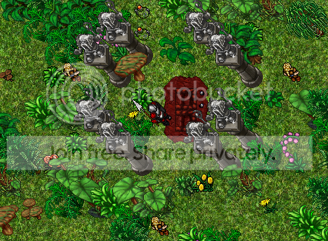 jungle.png