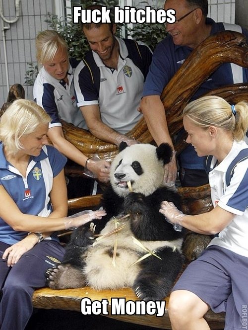 Pimp+Panda_94c005_3258969.jpg