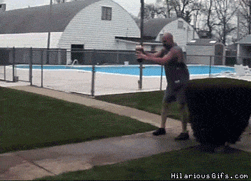 KQv0N.gif