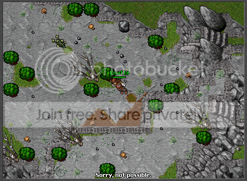A13.png