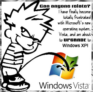 pissonVistaa.jpg