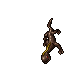 Salamander.gif
