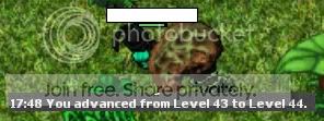 44mage.jpg