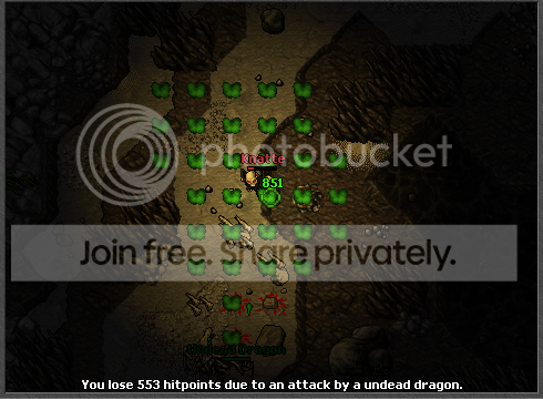 Ingame09.png
